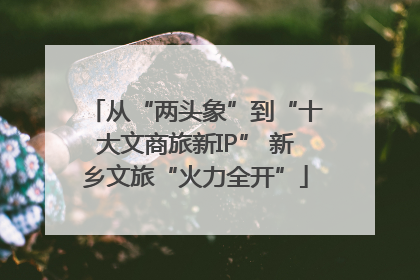 从“两头象”到“十大文商旅新IP” 新乡文旅“火力全开”