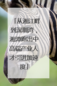 从湘江畔到深圳湾，湘潭跑出中高端产业人才引进加速度