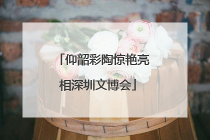 仰韶彩陶惊艳亮相深圳文博会