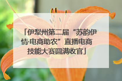 伊犁州第二届“苏韵伊情·电商助农”直播电商技能大赛圆满收官