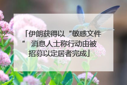 伊朗获得以“敏感文件” 消息人士称行动由被招募以定居者完成