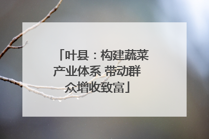 叶县：构建蔬菜产业体系 带动群众增收致富