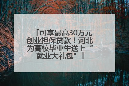可享最高30万元创业担保贷款！河北为高校毕业生送上“就业大礼包”