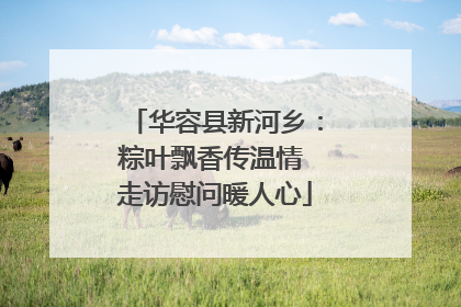 华容县新河乡：粽叶飘香传温情 走访慰问暖人心