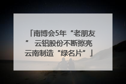 南博会5年“老朋友” 云铝股份不断擦亮云南制造“绿名片”