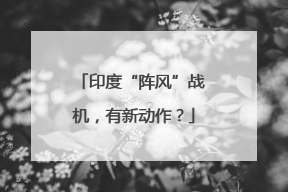 印度“阵风”战机，有新动作？