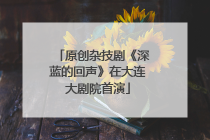 原创杂技剧《深蓝的回声》在大连大剧院首演