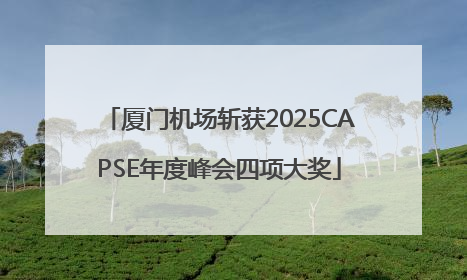 厦门机场斩获2025CAPSE年度峰会四项大奖