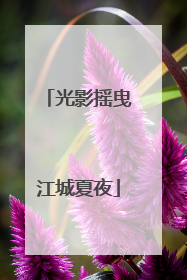 光影摇曳江城夏夜