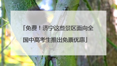 免费！济宁这些景区面向全国中高考生推出免票优惠