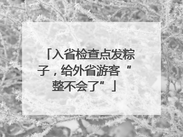 入省检查点发粽子，给外省游客“整不会了”