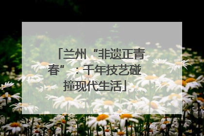 兰州“非遗正青春”：千年技艺碰撞现代生活