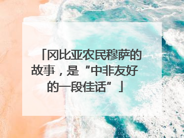冈比亚农民穆萨的故事，是“中非友好的一段佳话”