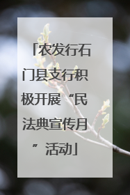农发行石门县支行积极开展“民法典宣传月”活动