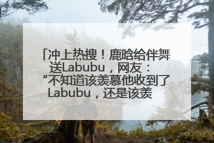 冲上热搜！鹿晗给伴舞送Labubu，网友：“不知道该羡慕他收到了Labubu，还是该羡慕鹿晗送他礼物”