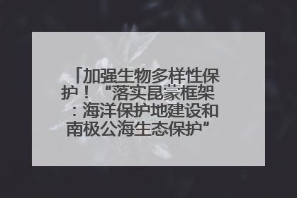 加强生物多样性保护！“落实昆蒙框架：海洋保护地建设和南极公海生态保护”主题论坛将举办