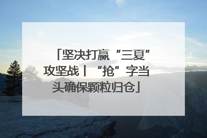 坚决打赢“三夏”攻坚战丨“抢”字当头确保颗粒归仓