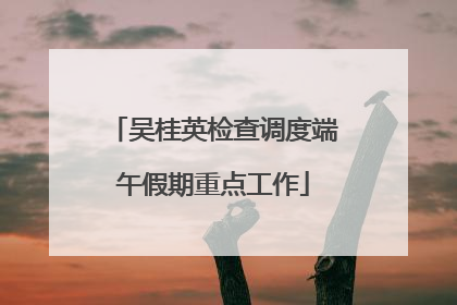 吴桂英检查调度端午假期重点工作