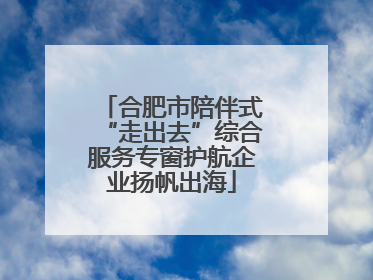 合肥市陪伴式“走出去”综合服务专窗护航企业扬帆出海