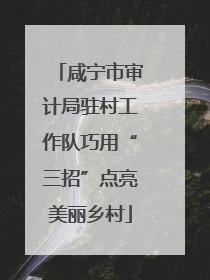 咸宁市审计局驻村工作队巧用“三招”点亮美丽乡村