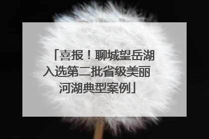 喜报！聊城望岳湖入选第二批省级美丽河湖典型案例