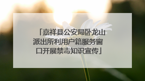 嘉祥县公安局卧龙山派出所利用户籍服务窗口开展禁毒知识宣传