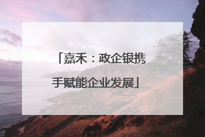 嘉禾：政企银携手赋能企业发展