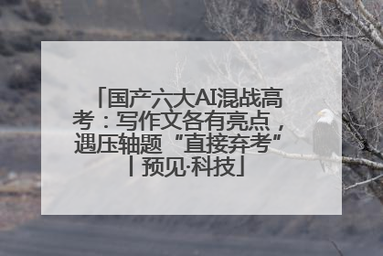 国产六大AI混战高考：写作文各有亮点，遇压轴题“直接弃考”丨预见·科技