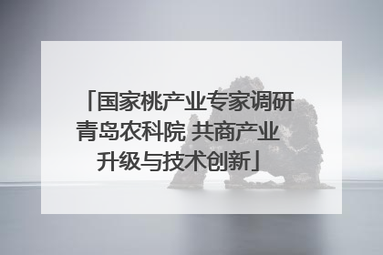 国家桃产业专家调研青岛农科院 共商产业升级与技术创新