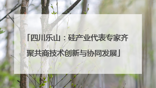 四川乐山：硅产业代表专家齐聚共商技术创新与协同发展