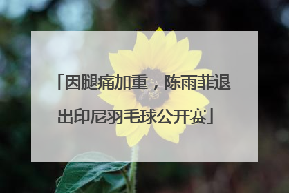 因腿痛加重，陈雨菲退出印尼羽毛球公开赛
