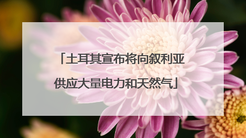 土耳其宣布将向叙利亚供应大量电力和天然气