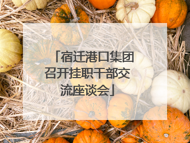 宿迁港口集团召开挂职干部交流座谈会