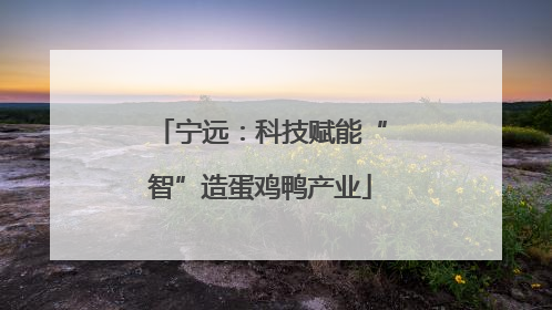 宁远：科技赋能“智”造蛋鸡鸭产业