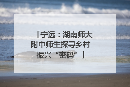 宁远：湖南师大附中师生探寻乡村振兴“密码”
