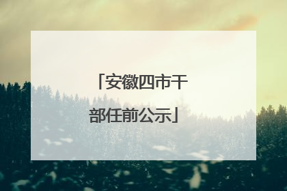 安徽四市干部任前公示