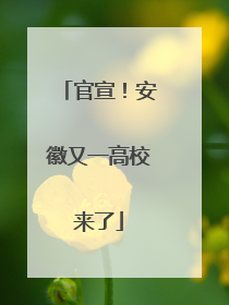 官宣！安徽又一高校来了