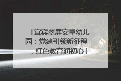 宜宾翠屏安阜幼儿园：党建引领新征程，红色教育润初心