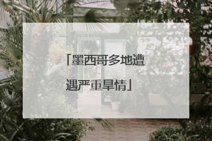 墨西哥多地遭遇严重旱情