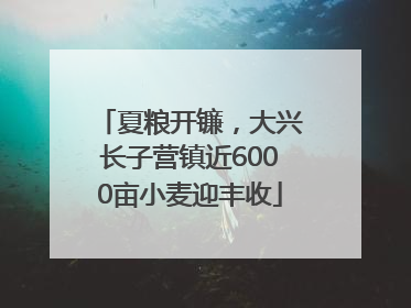 夏粮开镰，大兴长子营镇近6000亩小麦迎丰收
