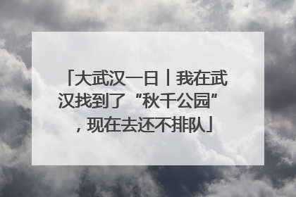 大武汉一日︱我在武汉找到了“秋千公园”，现在去还不排队