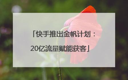 快手推出金帆计划：20亿流量赋能获客