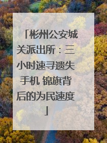 彬州公安城关派出所：三小时速寻遗失手机 锦旗背后的为民速度