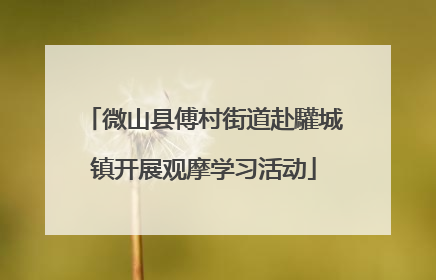 微山县傅村街道赴驩城镇开展观摩学习活动