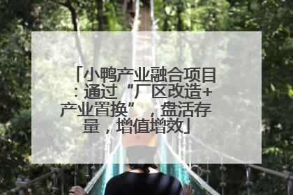 小鸭产业融合项目：通过“厂区改造+产业置换”，盘活存量，增值增效
