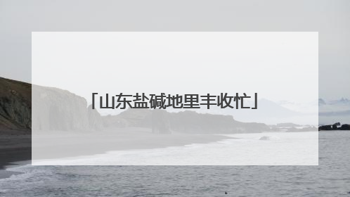 山东盐碱地里丰收忙