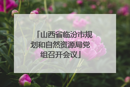 山西省临汾市规划和自然资源局党组召开会议