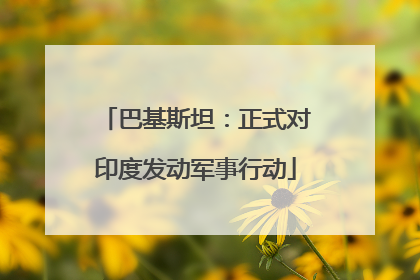 巴基斯坦：正式对印度发动军事行动