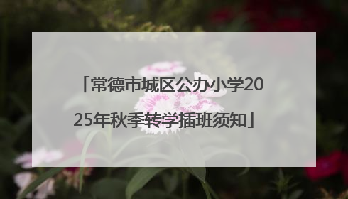 常德市城区公办小学2025年秋季转学插班须知