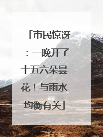 市民惊讶：一晚开了十五六朵昙花！与雨水均衡有关